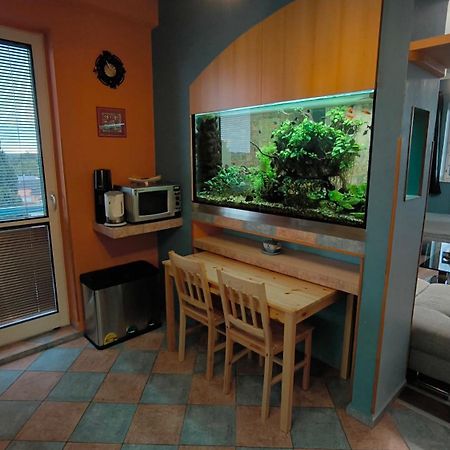 Suk Apartman 24 Сухдол над Лужніці Екстер'єр фото